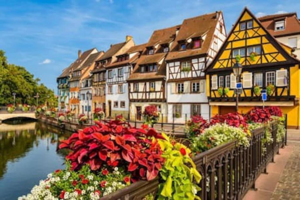 Esprit Colmar - 2 Chambres De Charme Мюлуз Екстериор снимка